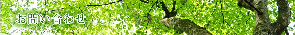 お問い合わせ